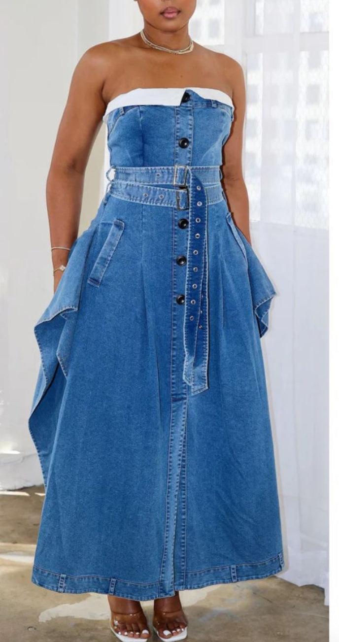 The Max Denim Chic MIDI Dress