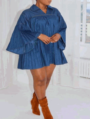Molly Denim Dress