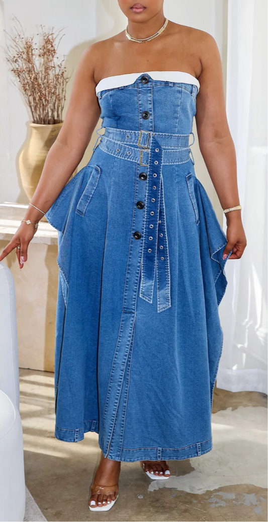 The Max Denim Chic MIDI Dress
