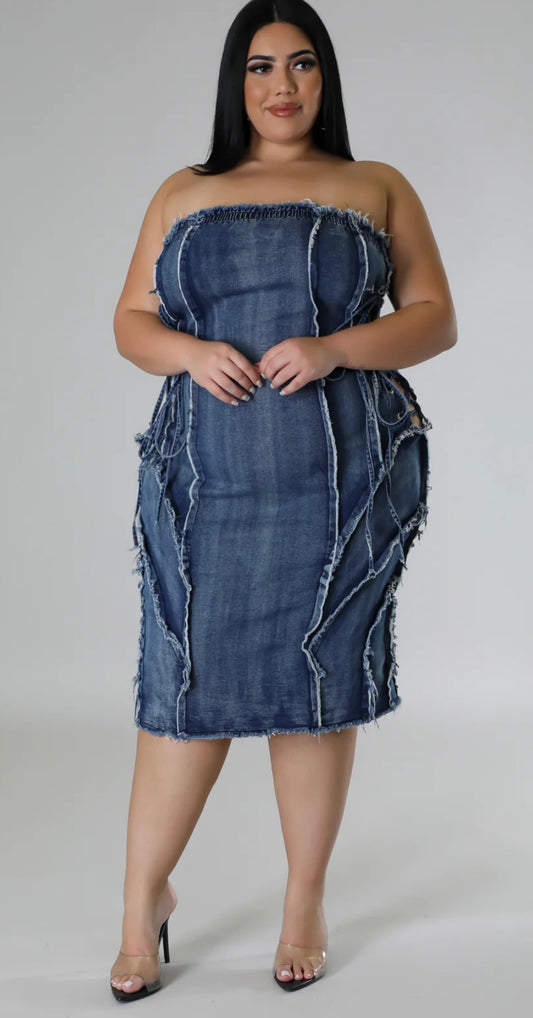 Destination Denim Tube Dress