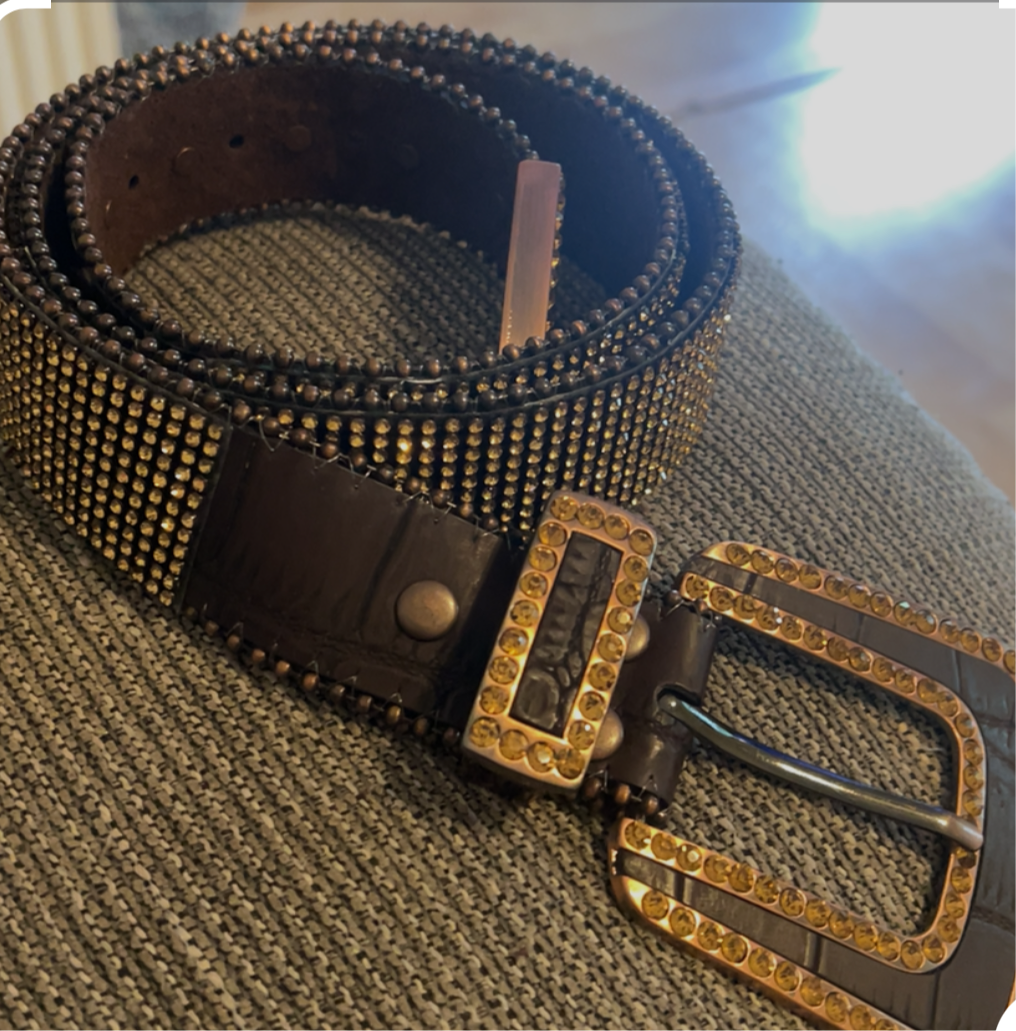 Blazing Hot Rhinestone Buckle Belt